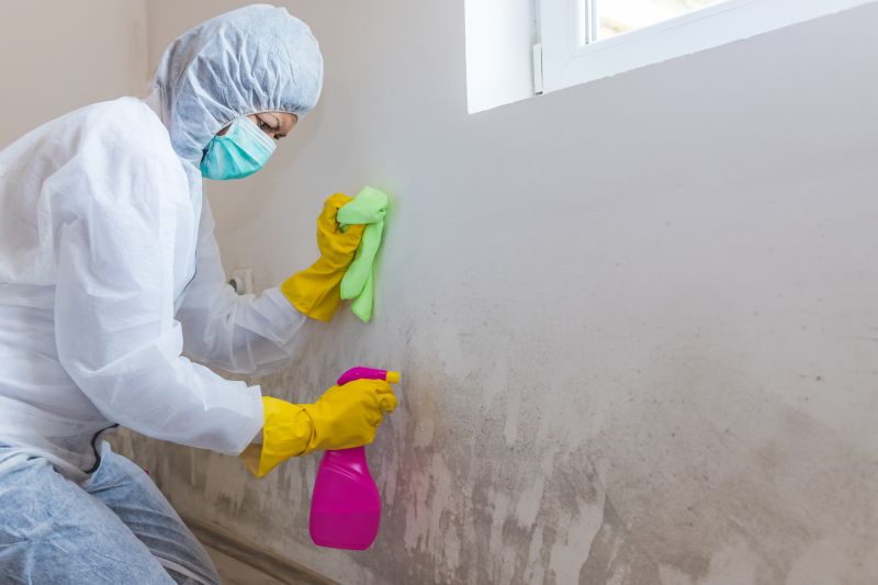 Air Duct Mold Removal in Bergen County, NJ