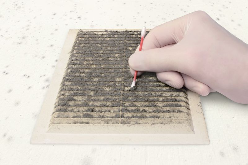 Air Duct Mold Removal in Dallas, TX
