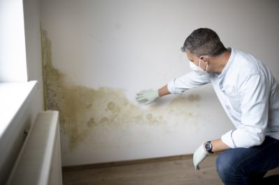 Attic Mold Remediation in Boca Raton, FL