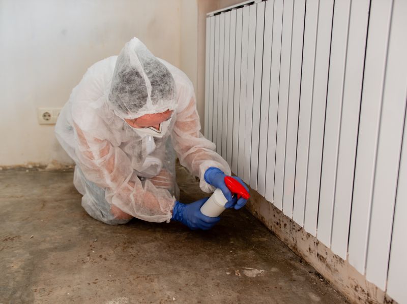 Attic Mold Removal in Dallas, TX