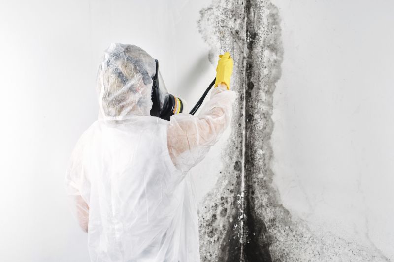 Attic Mold Removal in West Palm Beach, FL