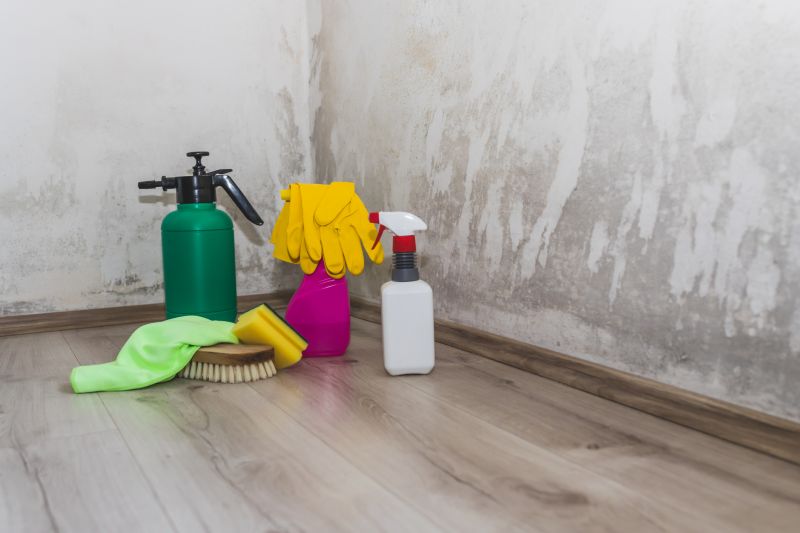 Basement Mold Removal in Essex County, NJ
