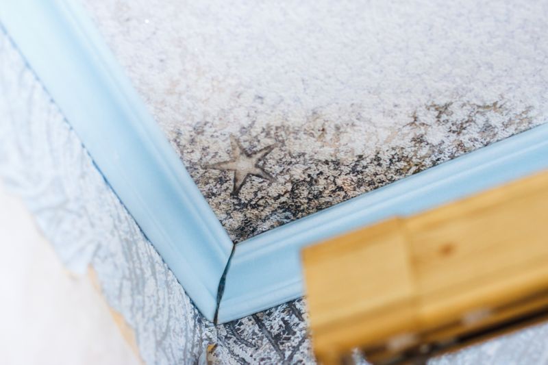 Black Mold Remediation in Frisco, TX