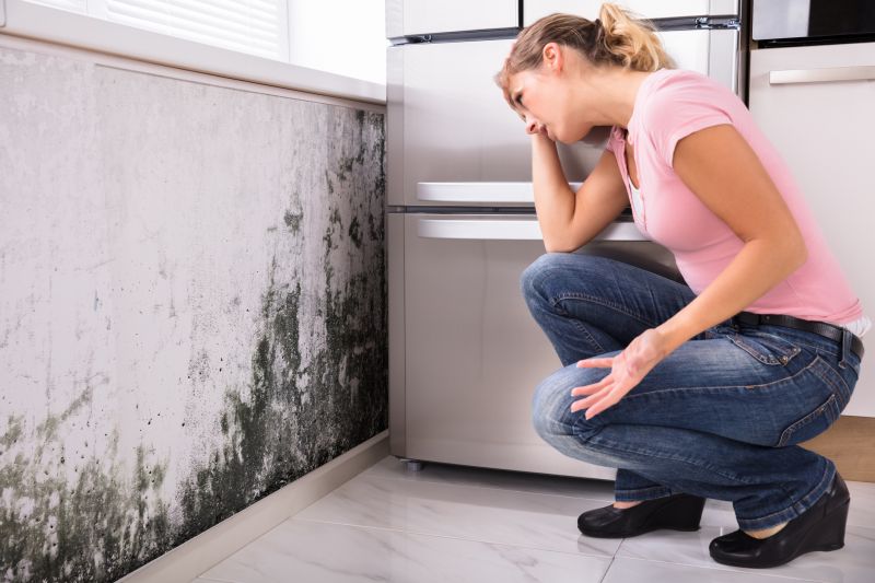 Black Mold Removal in Boca Raton, FL