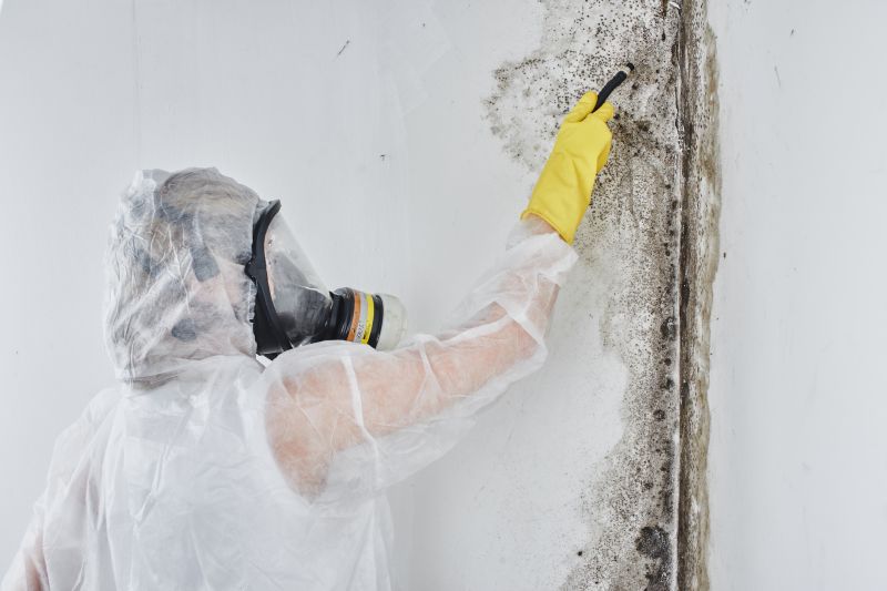 Black Mold Removal in Broward County, FL