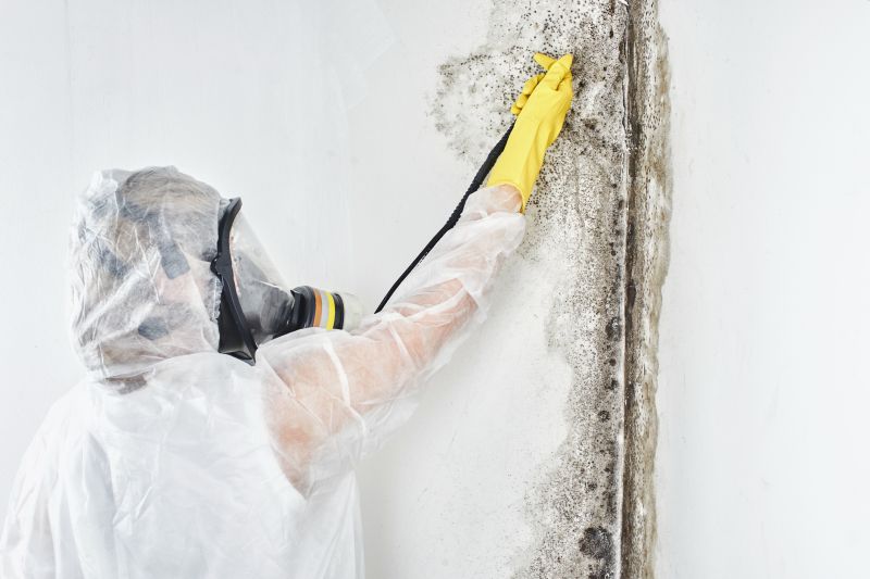 Black Mold Removal in Dallas, TX