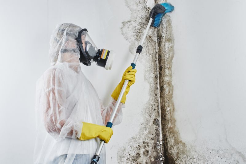 Ceiling Mold Removal in Boca Raton, FL