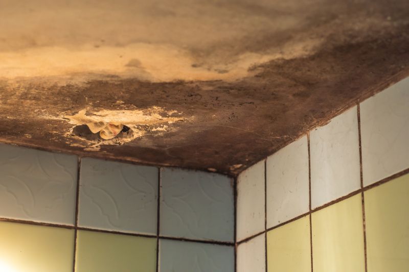 Ceiling Mold Removal in Bergen County, NJ