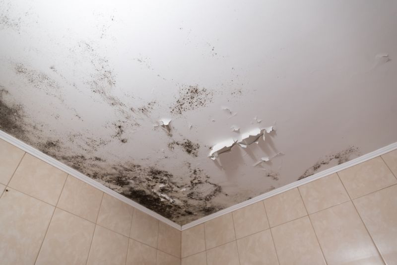 Ceiling Mold Removal in Jupiter, FL
