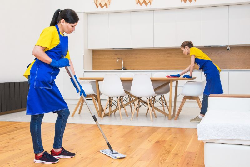 Condo Cleaning in Redmond, WA