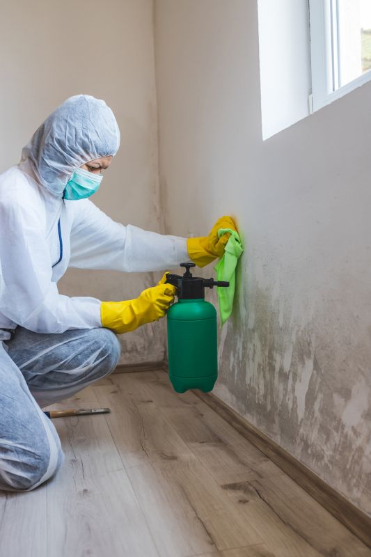 Crawl Space Mold Removal in Jupiter, FL