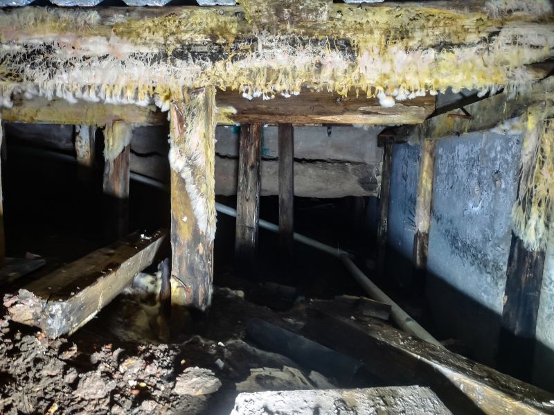 Crawl Space Mold Removal in Fort Worth, TX