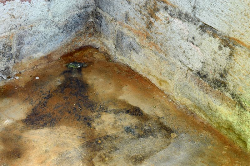 Crawlspace Mold Remediation in Frisco, TX