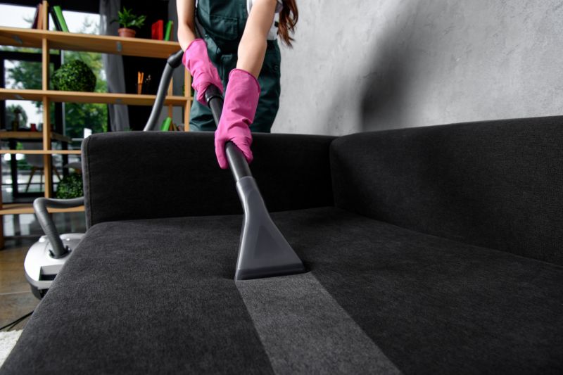 Couch Cleaning Service detail