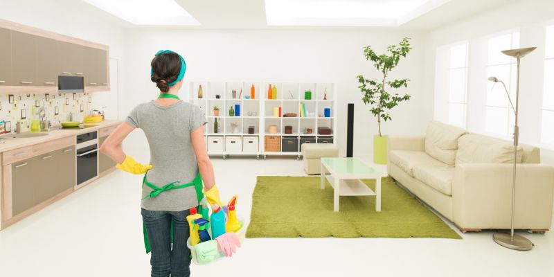 Furniture Cleaning Service detail