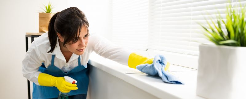 Move In Cleaning Service detail