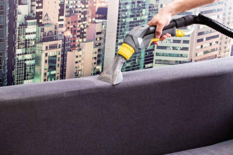 Upholstery Cleaning Service detail