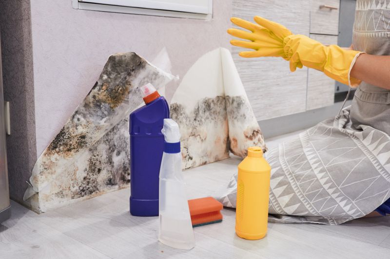 Mold Abatement Service in West Palm Beach, FL