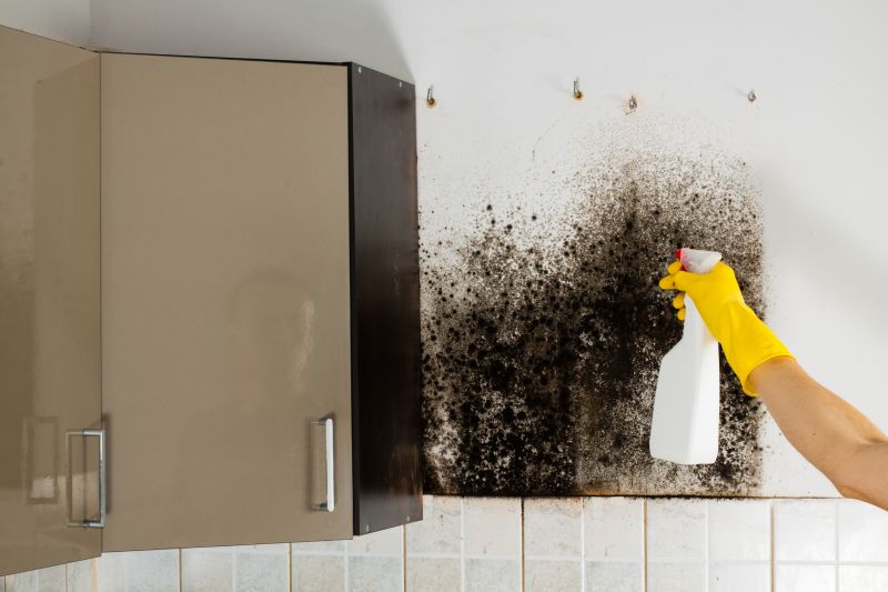 Mold Cleanup Service in Fort Worth, TX