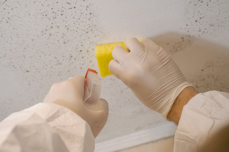 Mold Cleanup Service in Dallas, TX