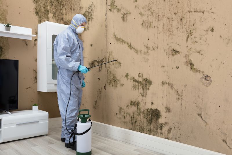 Mold Control in Broward County, FL