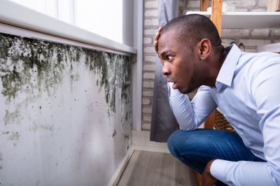 Mold Inspection And Removal in Fort Lauderdale, FL
