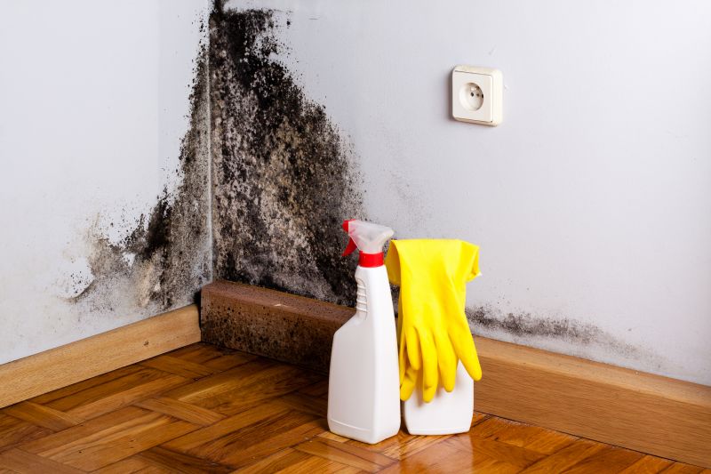 Mold Mitigation Service in Essex County, NJ