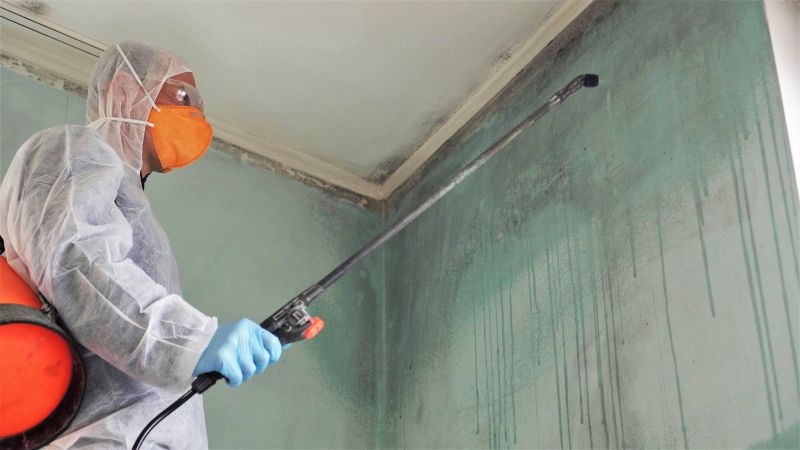 Mold Mitigation Service in Frisco, TX