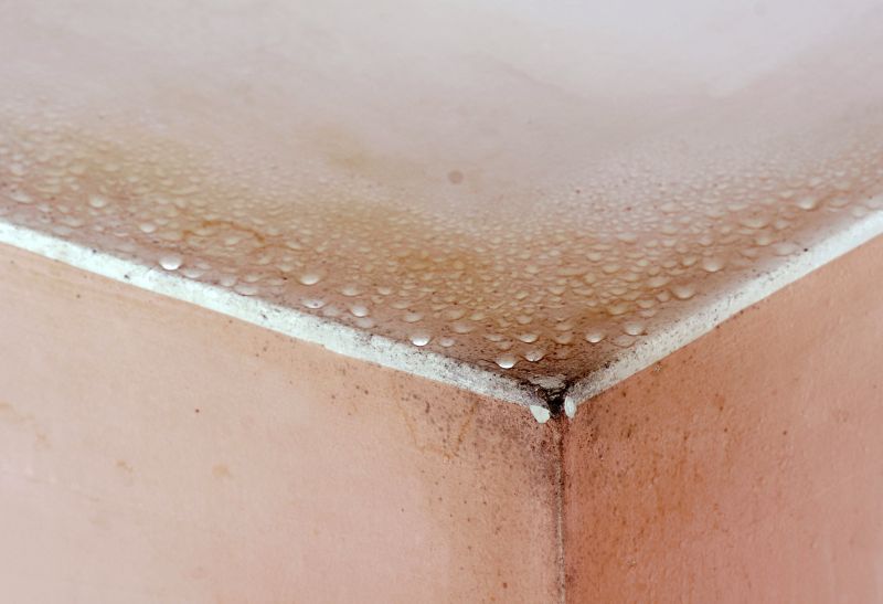 Mold Mitigation Service in Fort Lauderdale, FL