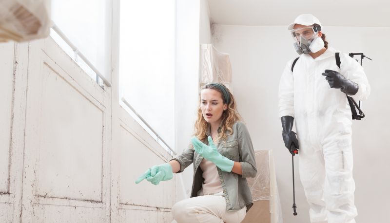 Mold Mitigation Service in West Palm Beach, FL