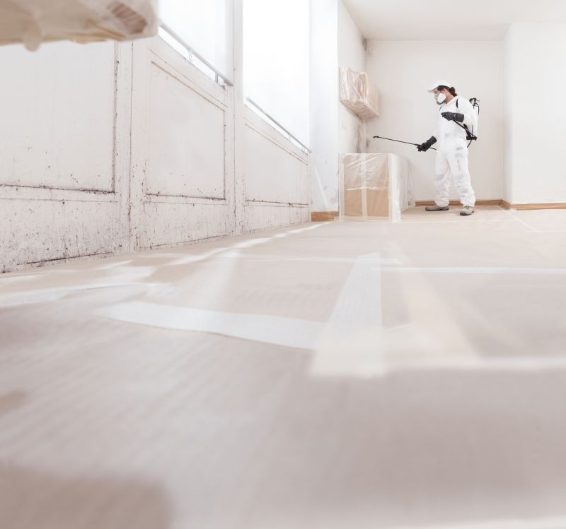 Mold Mitigation Service in Jupiter, FL