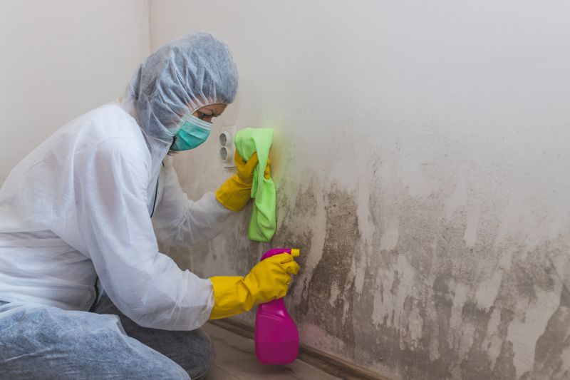 Mold Removal in Jupiter, FL