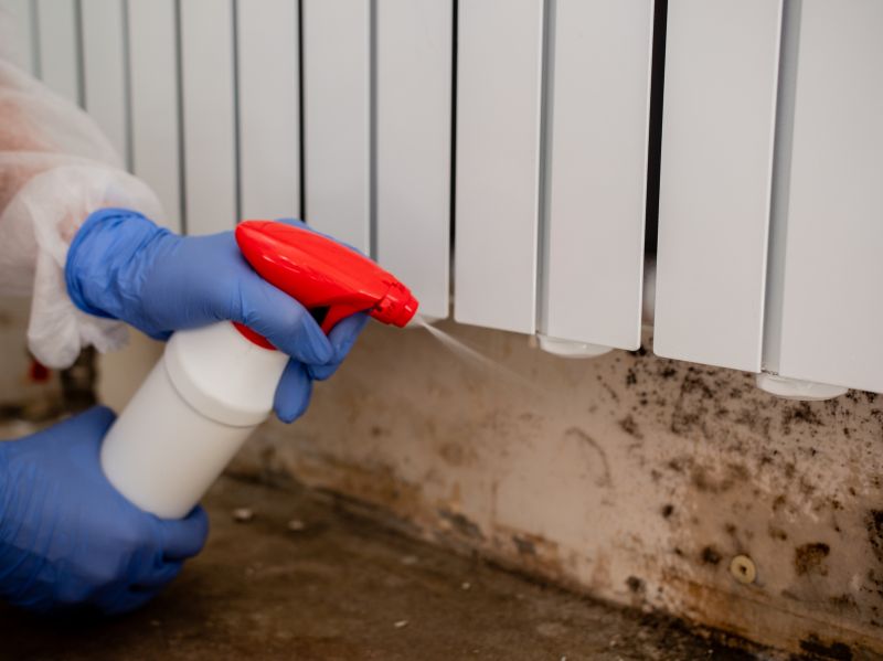 Mold Restoration in Jupiter, FL