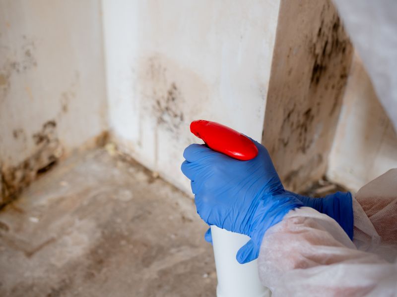 Mold Restoration in West Palm Beach, FL