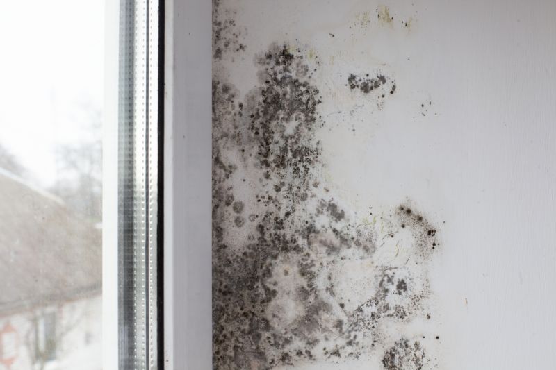 Mold Treatment Service in Broward County, FL