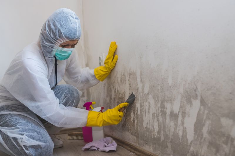 White Mold Mitigation in Jupiter, FL
