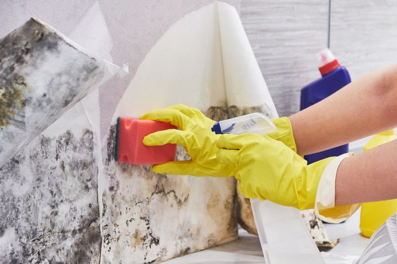 White Mold Mitigation in Dallas, TX